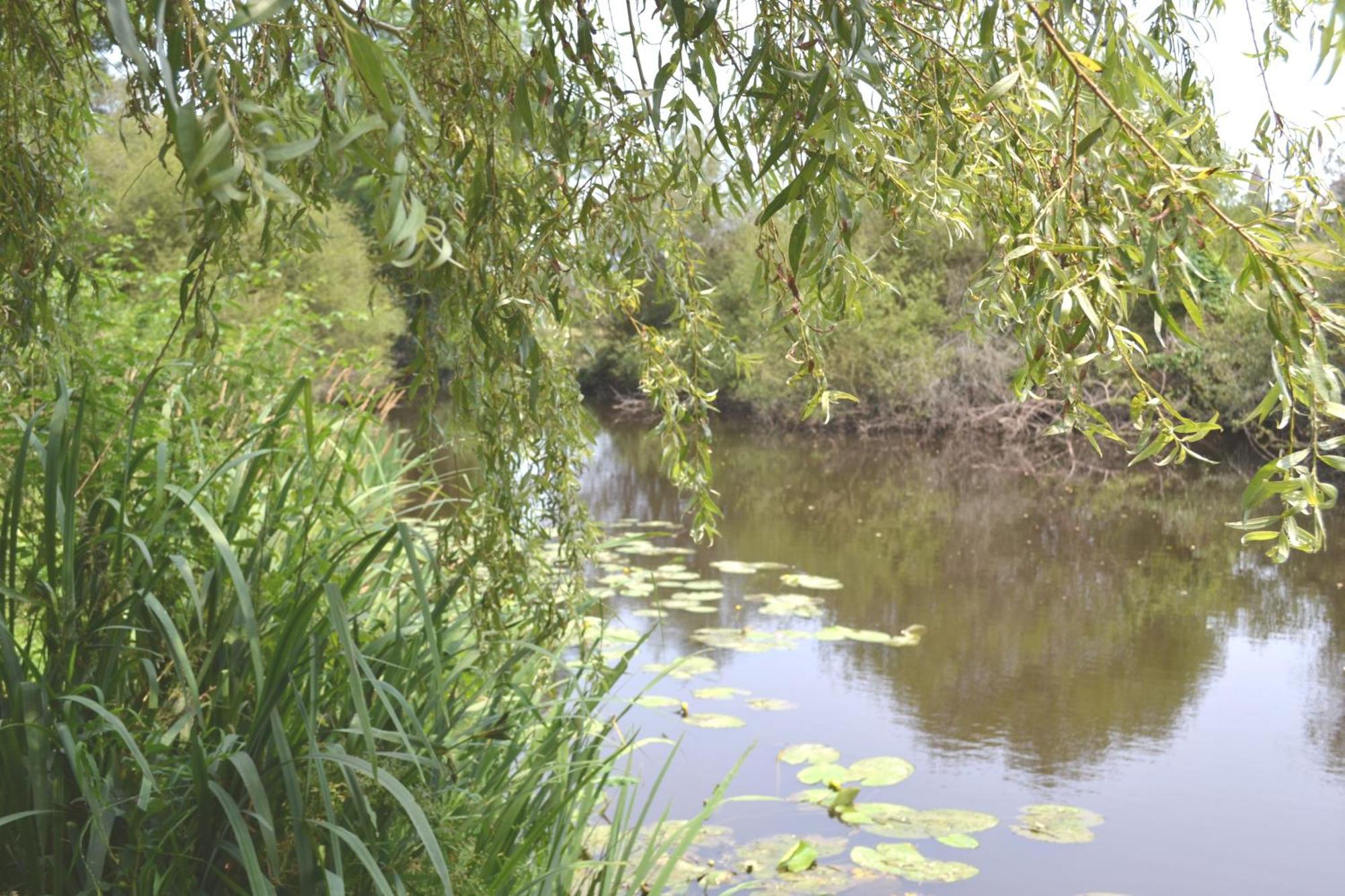Les Bruyeres Gite Montbron Esterno foto